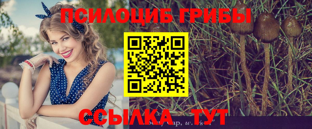 Галлюциногенные грибы GOLDEN TEACHER Гуково