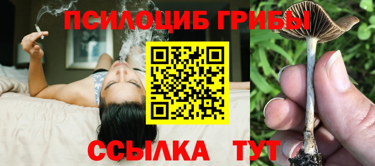 Галлюциногенные грибы ЛСД  Вход с VPN  Галлюциногенные грибы Psilocybine cubensis  Гуково 